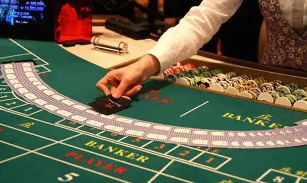 Live card game tables on 5 app for Bangladesh mobile browsing
